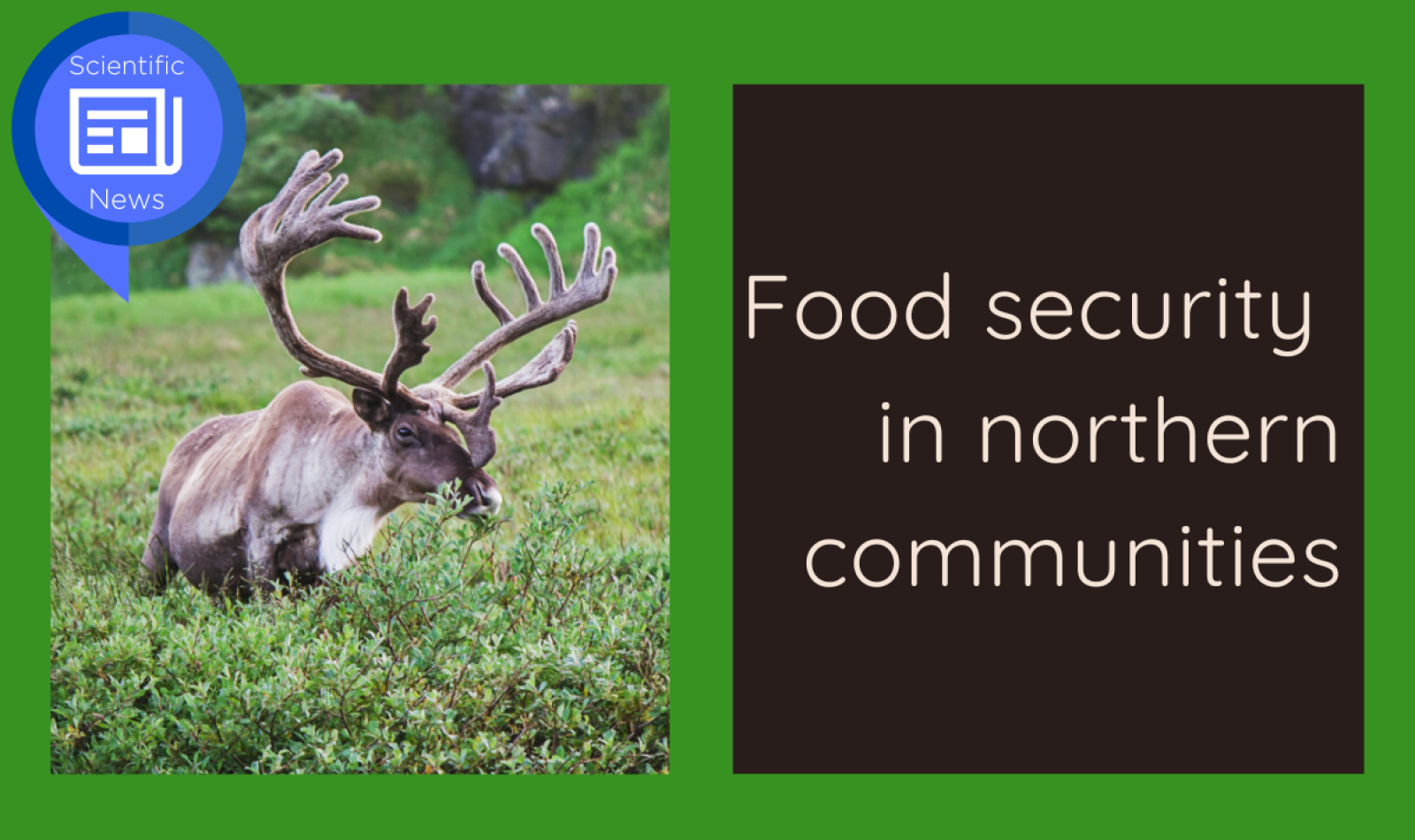 food-security-in-northern-communities